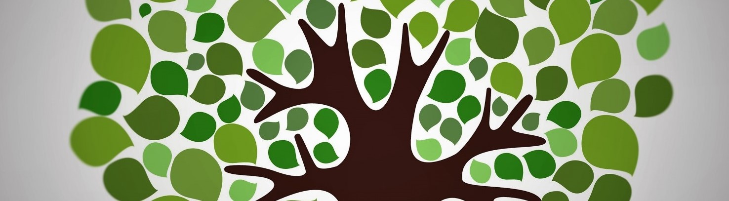 about- content writing & web marketing